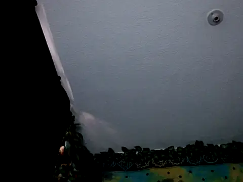 chanel 1041 online show from January 3, 9:36 pm