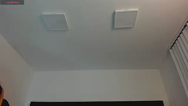 FaloonRoussel online show from November 4, 6:07 pm