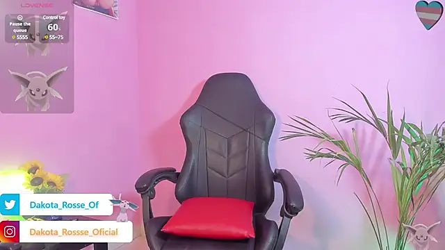 Snapshot of DakotaRosee chatting on December 4, 6:44 am DakotaRosee online show from December 4, 6:44 am