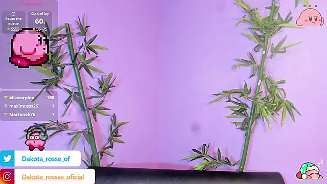 Snapshot of DakotaRosee chatting on February 17, 5:25 am DakotaRosee online show from February 17, 5:25 am