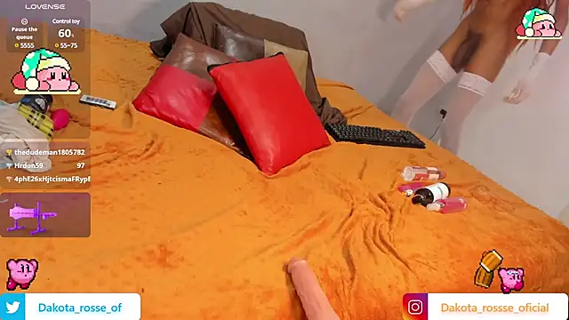 Snapshot of DakotaRosee chatting on February 21, 9:13 am DakotaRosee online show from February 21, 9:13 am