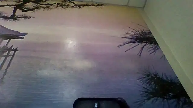 AliceTailor online show from February 2, 7:56 pm