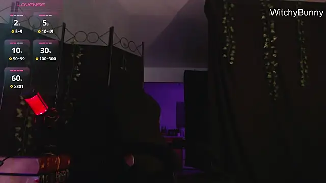Snapshot of witchybunny chatting on December 31, 10:58 am witchybunny online show from December 31, 10:58 am