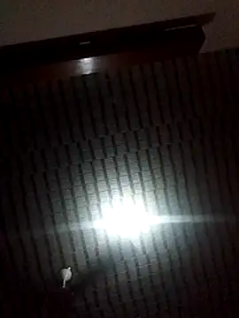 Blackpenis28 online show from February 1, 10:36 am