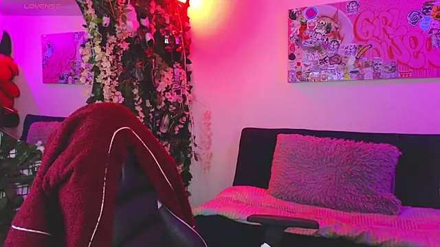 Dann dan online show from February 6, 5:01 am