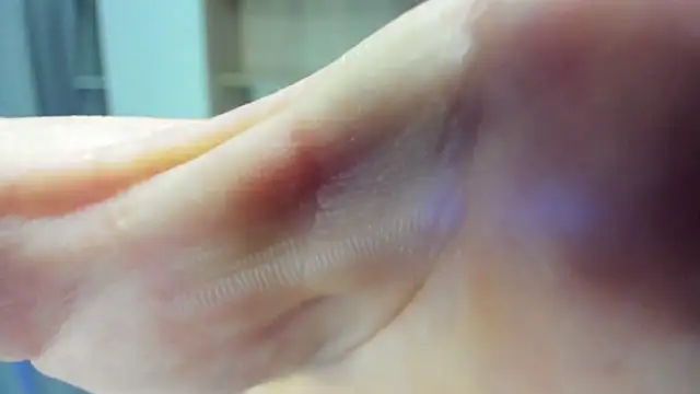 Alex Madrid online show from February 3, 3:38 pm