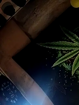 ySqmbVanbe online show from October 17, 2:41 pm