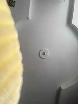 emiss  online show from October 8, 2:14 pm