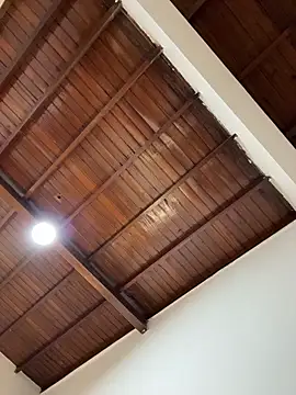 emiss  online show from February 1, 2:37 pm