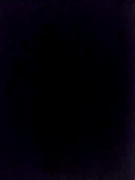 Snapshot of BongChannel chatting on January 1, 11:40 pm BongChannel online show from January 1, 11:40 pm