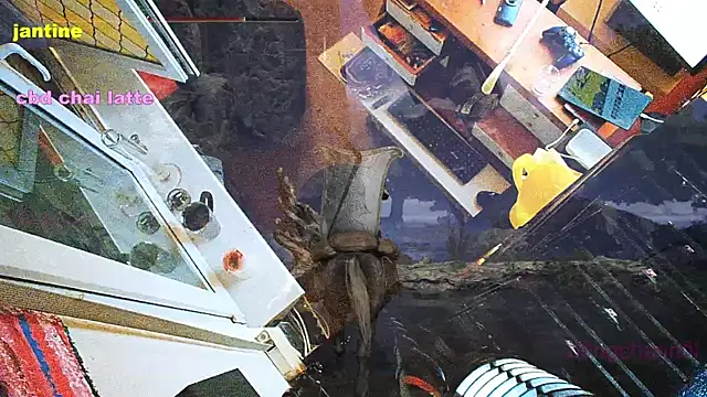 Snapshot of BongChannel chatting on March 9, 3:54 am BongChannel online show from March 9, 3:54 am