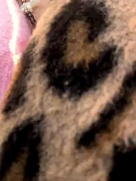 Snapshot of casalinga88 chatting on November 7, 7:19 am casalinga88 online show from November 7, 7:19 am