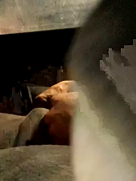 Snapshot of xWhoreAbleX_Pika chatting on March 6, 12:43 am xWhoreAbleX Pika online show from March 6, 12:43 am