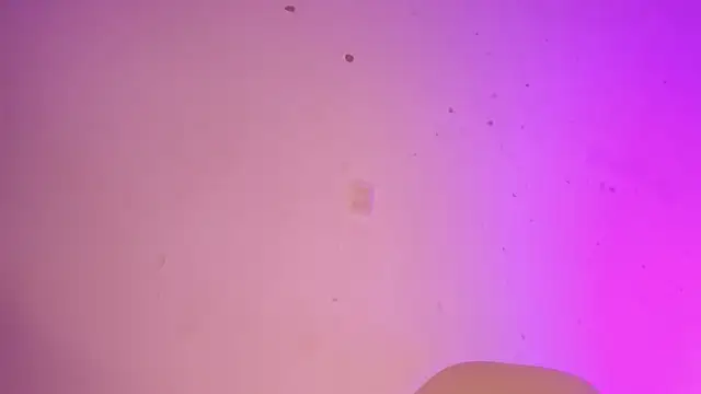 Tahira 21  online show from January 22, 10:37 pm