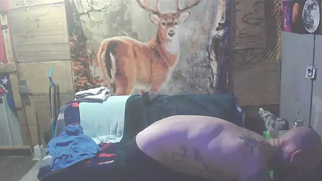 Smurfschmidt online show from February 1, 12:29 am