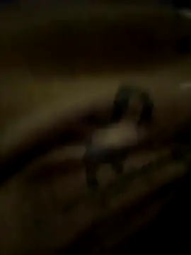 Snapshot of eveangelll chatting on October 21, 3:51 am eveangelll online show from October 21, 3:51 am