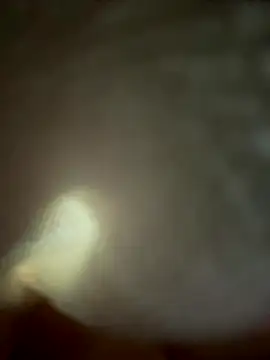 Snapshot of eveangelll chatting on November 4, 4:55 am eveangelll online show from November 4, 4:55 am