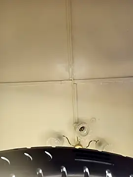    Midnight    online show from March 15, 2:06 am