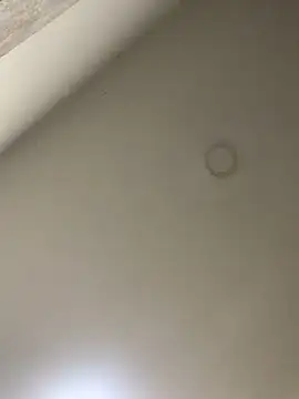 Zarah Blare online show from January 14, 11:27 pm