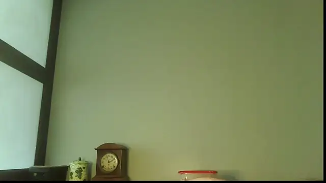 SexWorkerX online show from November 18, 8:13 pm