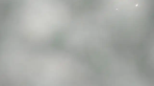 BarbaraTurners online show from October 19, 11:33 am