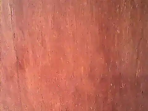 Snapshot of Dirtychubby29 chatting on January 14, 4:25 am Dirtychubby29 online show from January 14, 4:25 am