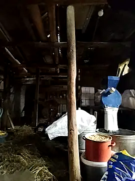 Sarpe84 online show from January 24, 6:03 am