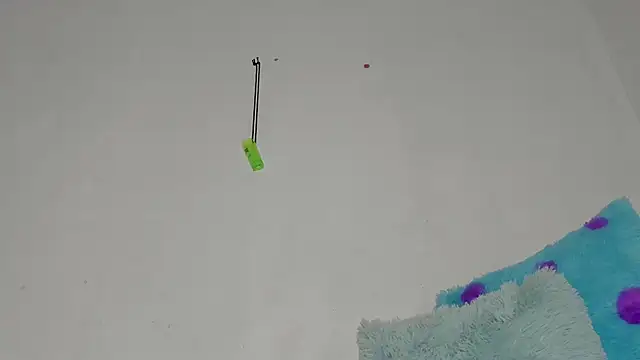 Snapshot of sebas_rose chatting on December 11, 12:44 am sebas rose online show from December 11, 12:44 am