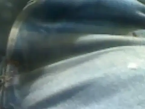 markluvskitty online show from February 7, 2:15 pm