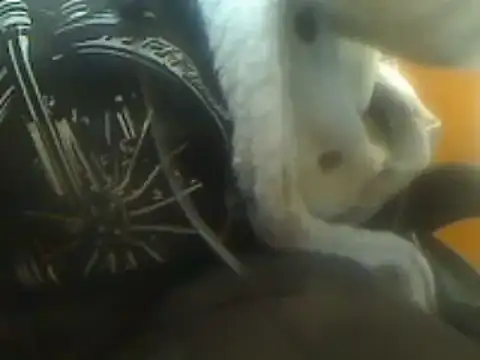 markluvskitty online show from March 7, 9:06 pm