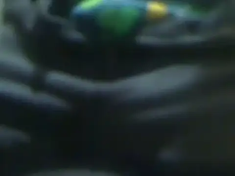 markluvskitty online show from March 14, 1:24 pm