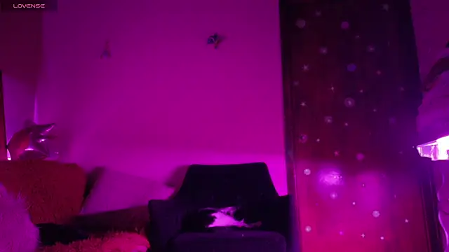 maryberry   online show from April 18, 4:38 am