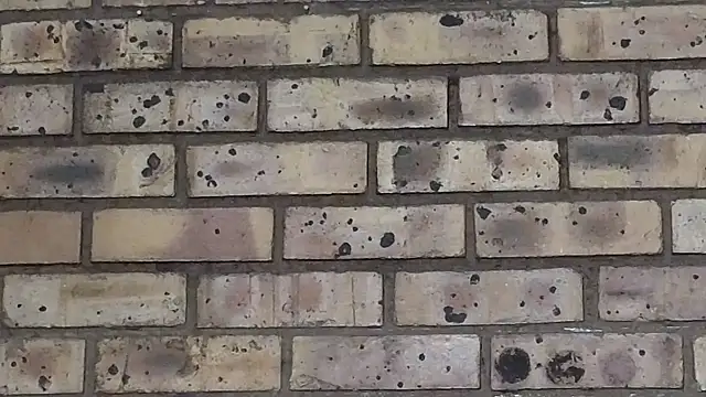 Astoria Moon online show from March 22, 7:09 pm