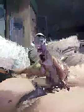 Snapshot of Bi-Sunny chatting on November 17, 2:39 am Bi-Sunny online show from November 17, 2:39 am