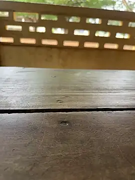 Black-mamba-madingo online show from September 29, 10:09 am