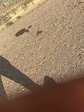 Snapshot of Black-mamba-madingo chatting on September 30, 3:39 pm Black-mamba-madingo online show from September 30, 3:39 pm