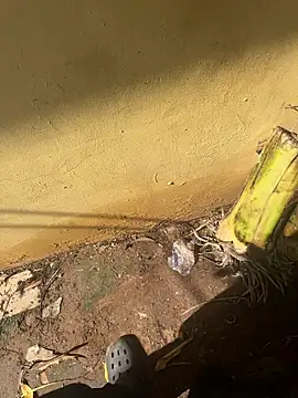 Snapshot of Black-mamba-madingo chatting on October 10, 2:16 pm Black-mamba-madingo online show from October 10, 2:16 pm