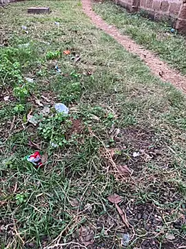 Snapshot of Black-mamba-madingo chatting on October 29, 5:14 pm Black-mamba-madingo online show from October 29, 5:14 pm