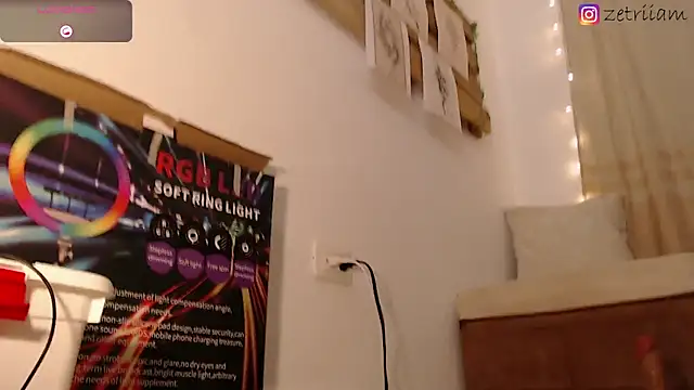 Snapshot of Zetrionn chatting on February 22, 6:28 am Zetrionn online show from February 22, 6:28 am