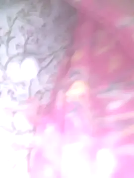 Priya Bong online show from February 4, 2:17 am