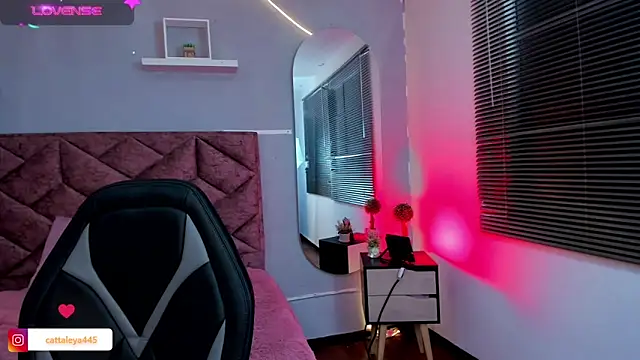 cattaleya    online show from January 30, 4:06 am