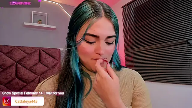 cattaleya    online show from February 13, 6:09 am