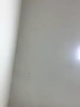 Snapshot of LinnaGardenia chatting on October 1, 5:41 pm LinnaGardenia online show from October 1, 5:41 pm