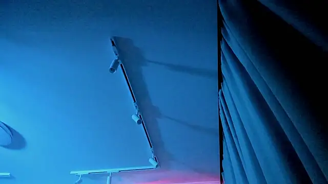 Ledy WWWII online show from December 3, 6:38 pm