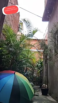 Snapshot of sexyboycolombi4 chatting on February 15, 1:38 pm sexyboycolombi4 online show from February 15, 1:38 pm