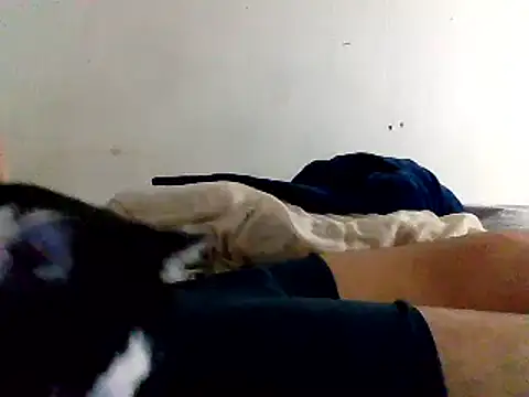 Snapshot of yass56789 chatting on November 15, 11:54 pm yass56789 online show from November 15, 11:54 pm