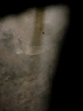 Yasha 14C Creator online show from October 31, 4:57 am