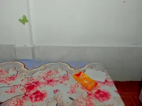 Dana Jeins online show from February 11, 1:20 pm