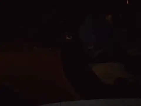 0815lukas2024 online show from January 16, 6:59 pm