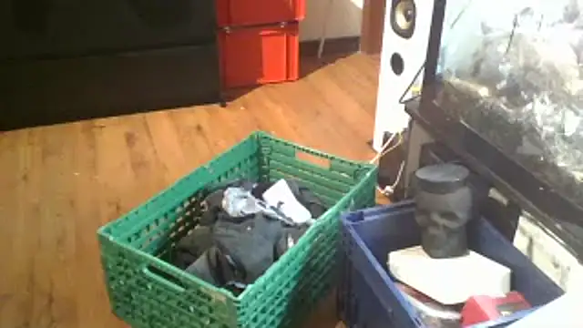 0815lukas2024 online show from January 16, 11:59 pm